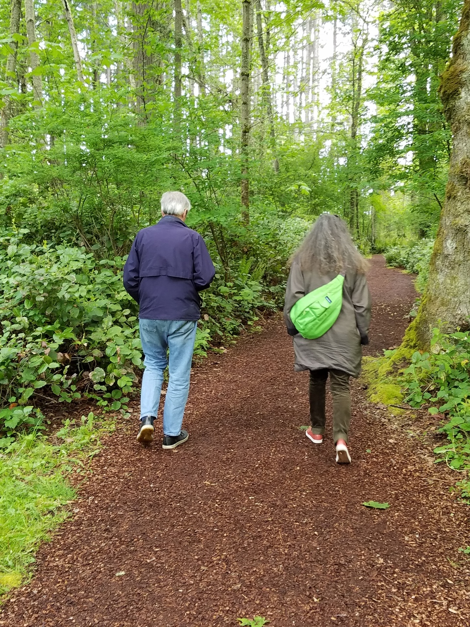 Couple walking down a forested path away from the camera.